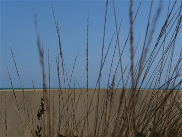 hidden gaze towards the sea