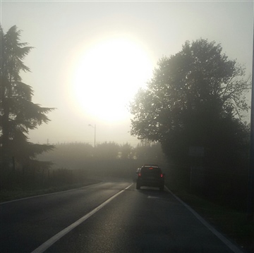 sunshine on a damp day